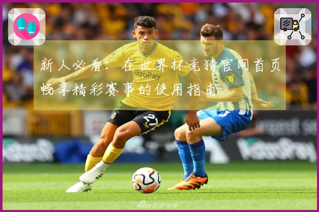新人必看：在世界杯竞猜官网首页畅享精彩赛事的使用指南