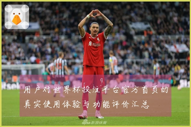 用户对世界杯投注平台官方首页的真实使用体验与功能评价汇总