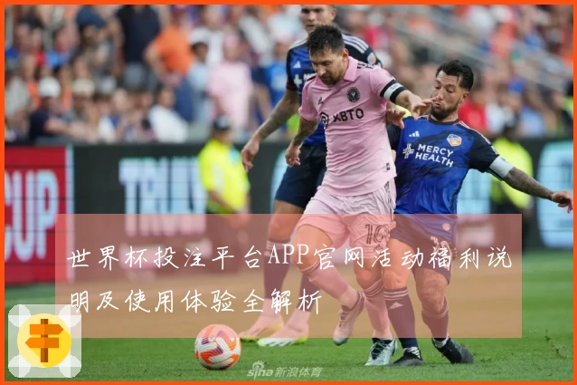 世界杯投注平台APP官网活动福利说明及使用体验全解析