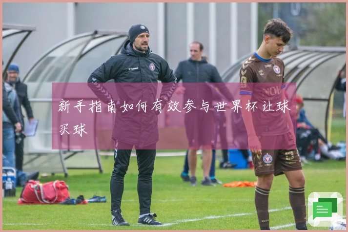新手指南如何有效参与世界杯让球买球