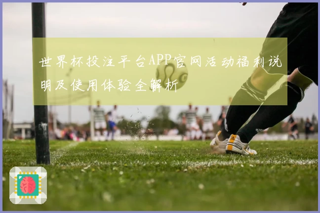 世界杯投注平台APP官网活动福利说明及使用体验全解析