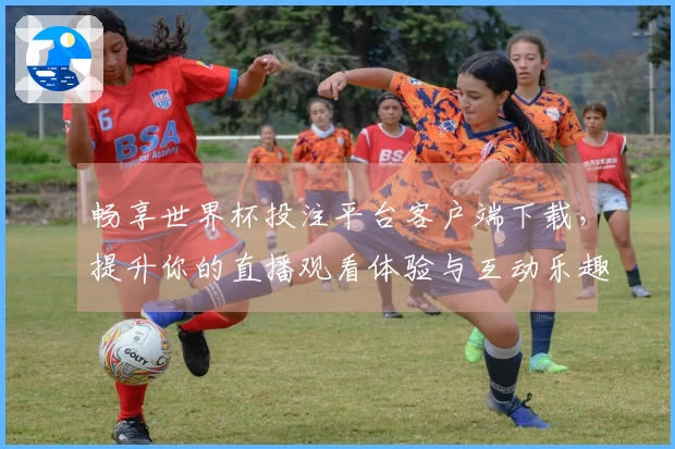 畅享世界杯投注平台客户端下载，提升你的直播观看体验与互动乐趣