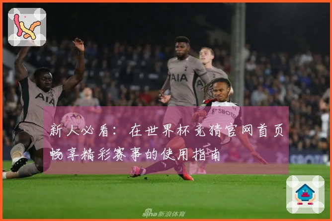 新人必看：在世界杯竞猜官网首页畅享精彩赛事的使用指南