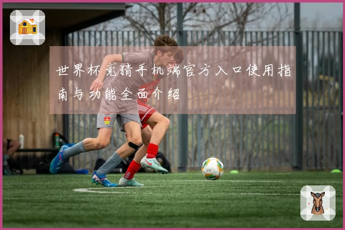 世界杯竞猜手机端官方入口使用指南与功能全面介绍