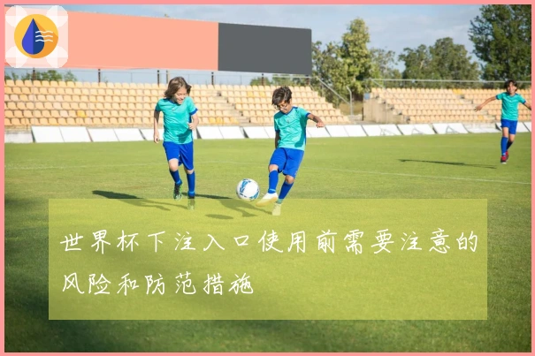 世界杯下注入口使用前需要注意的风险和防范措施