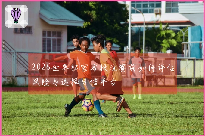 2026世界杯官方投注赛前如何评估风险与选择可信平台