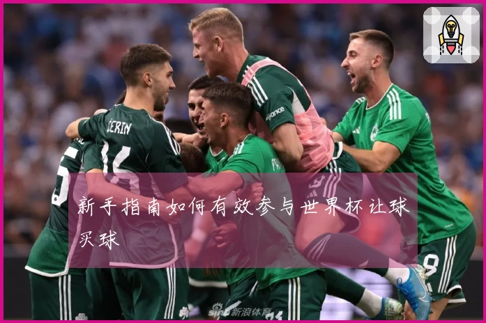 新手指南如何有效参与世界杯让球买球
