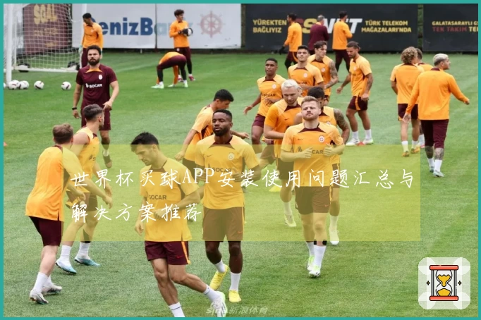 世界杯买球APP安装使用问题汇总与解决方案推荐