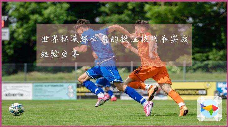 世界杯滚球必看的投注技巧和实战经验分享